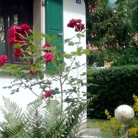 Tatil Evi Ferienhaus Wachsenberg Neusitz (Ansbach)